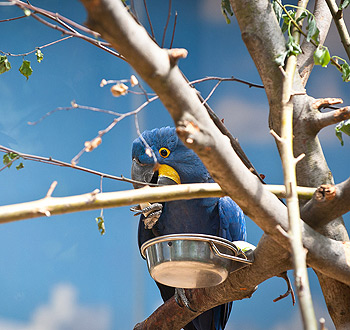 在线永久免费轰炸电话