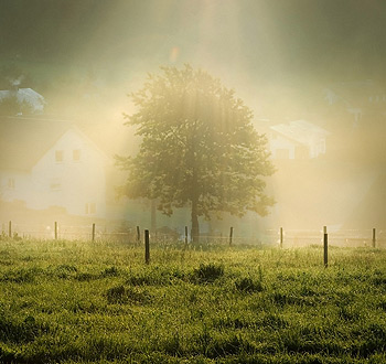 在线永久免费轰炸电话